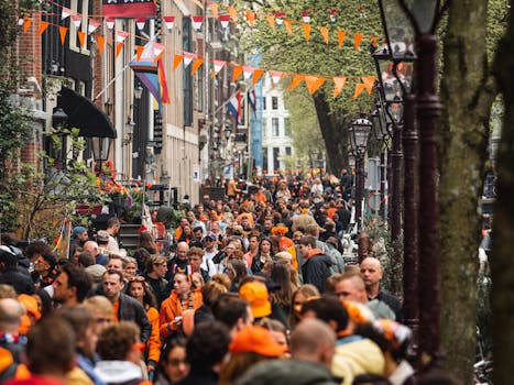 Dit zijn de beste festivals van Nederland in 2026: van Lowlands tot Zwarte Cross