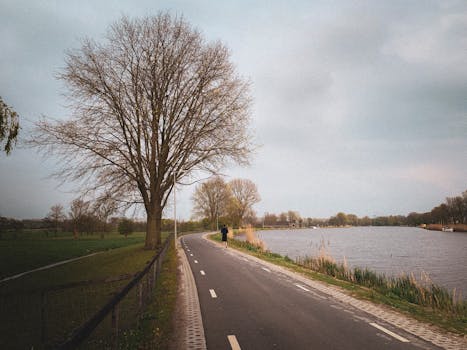 Noord holland sport: landelijk nieuws met lokale impact
