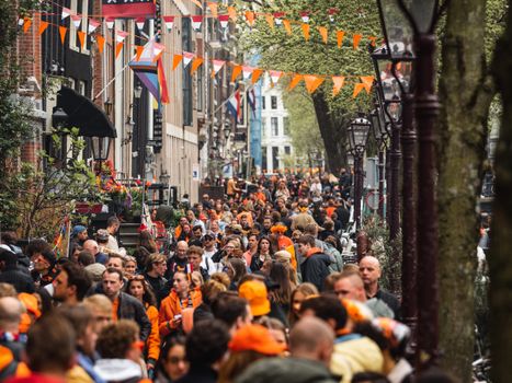 Reggae festival 2026 Nederland: deze relaxte events wil je niet missen
