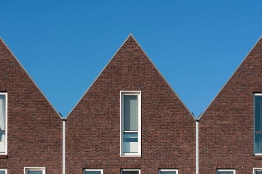 Con Zwinkels: ondernemer, winkels en achtergrond
